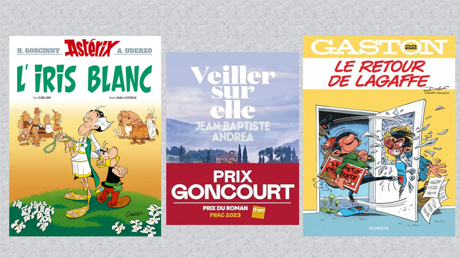 Asterix, Gaston Lagaffe and the Prize of Goncourt: the trio of best-selling books in 2023.