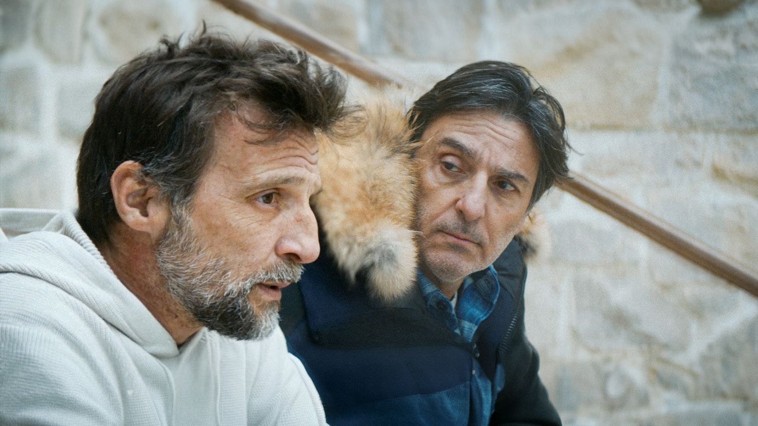 "Brothers": Mathieu Kassovitz and Yvan Attal in the incredible story of a brotherhood sealed in the depths of the forest