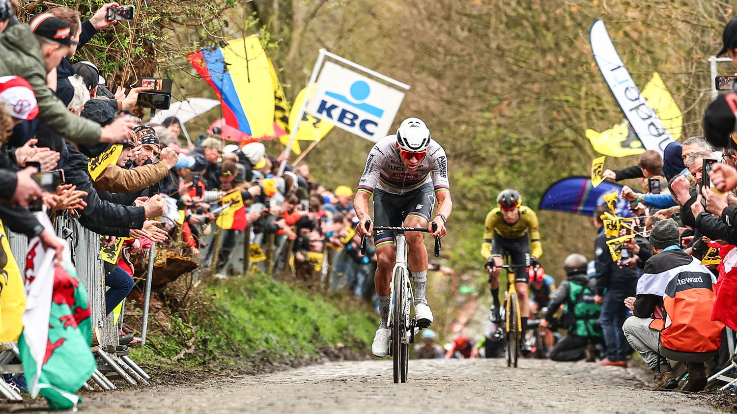 VIDEO.  Tour of Flanders: Relive Mathieu van der Poel's impressive strike at Koppenberg that leaves his rivals on their feet