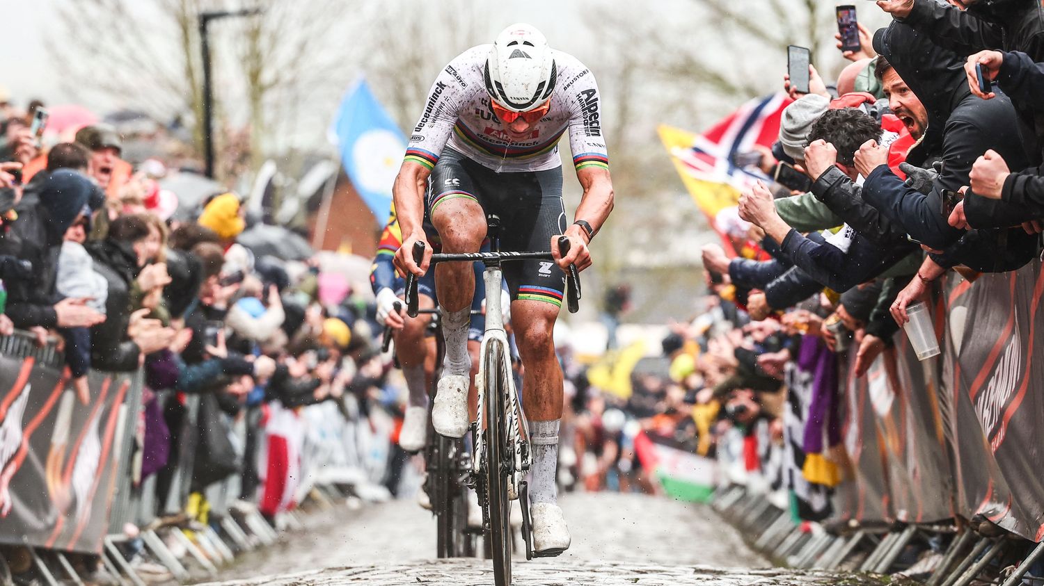 VIDEO.  Tour of Flanders: recap of Mathieu van der Poel's new solo triumph